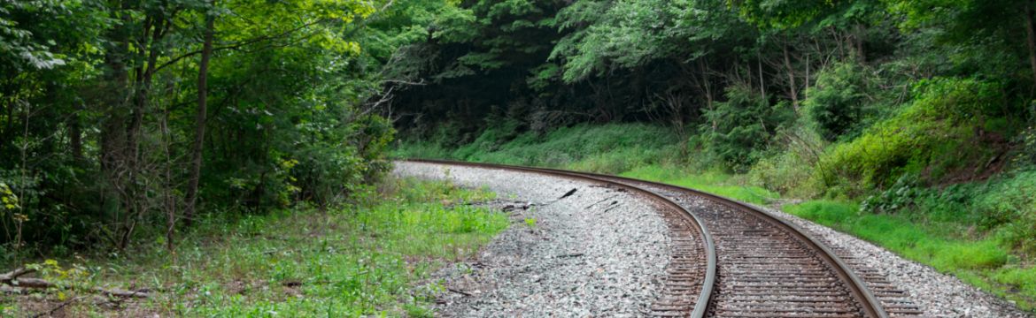 Train tracks curving between trees